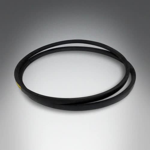 Courroie pour broyeurs de végétaux BT 150 - BTN 150 - GS 1500 - TGS 1500 (8430)